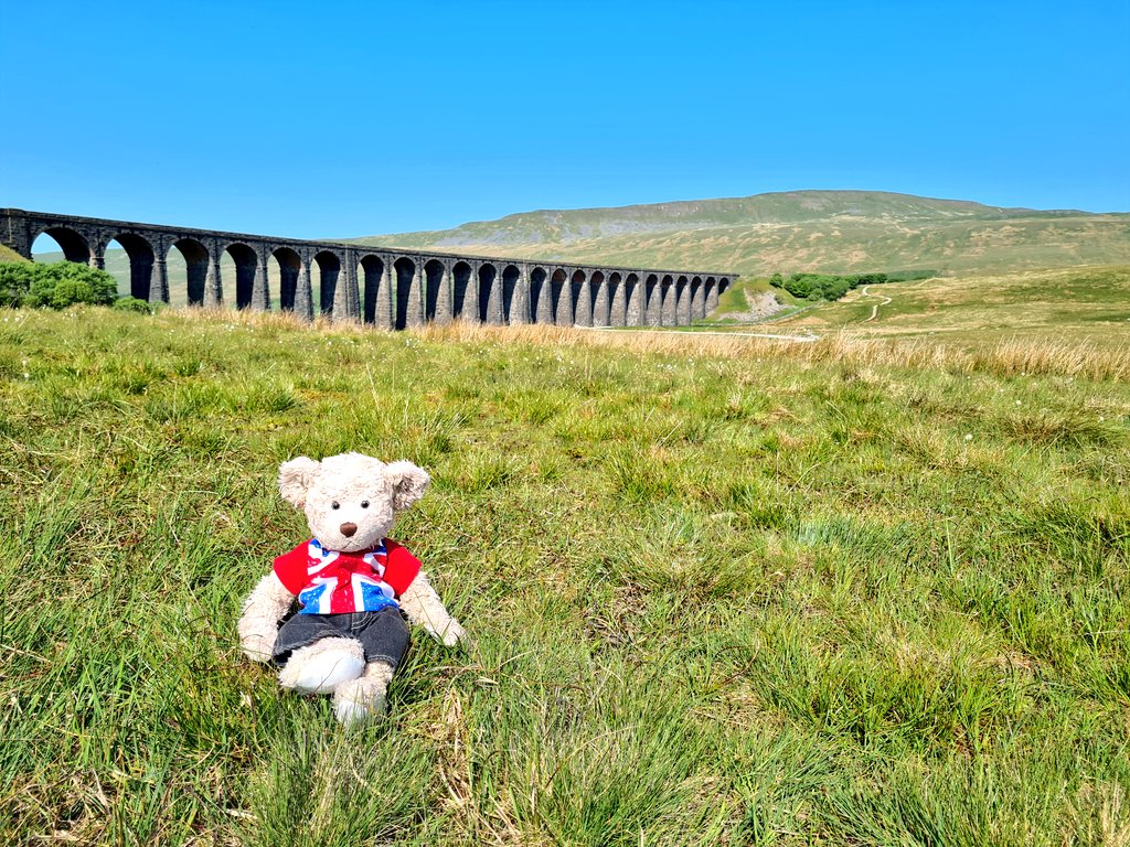 Starr of our walk to #whernside this morning from #ribbleheadviaduct #yorkshiredales