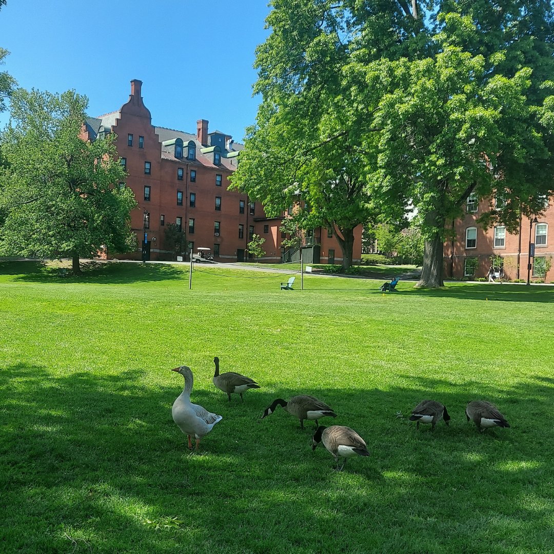 Mount Holyoke Alums tweet media
