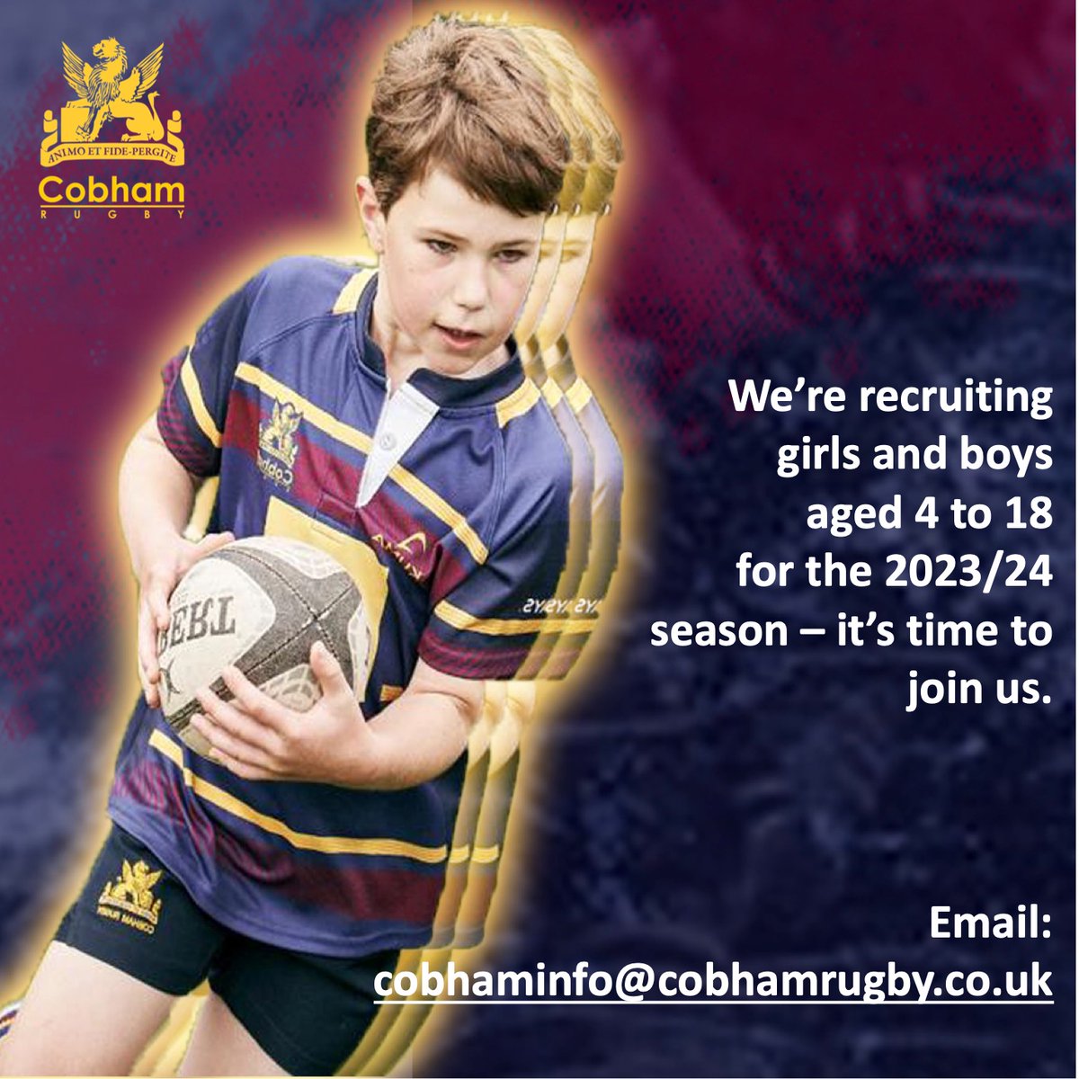 CobhamRFC's tweet photo. Cobham Rugby club is taking registrations for new players - it's time to get involved. 

FILL in this form - https://t.co/yToRW37VkV - to register your interest. 

SEND the link above to your friends, we'd love to welcome you all at Cobham. 

1🌽 https://t.co/hnk4JsoEGM