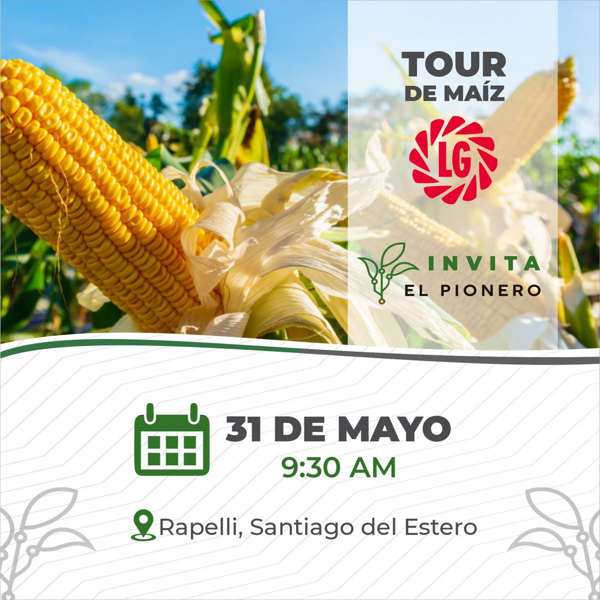 🌽Los invitamos al Tour de Maíz #Limagrain
Vení a conocer los híbridos con mejor rendimiento para el NOA.

📅 Miercoles 31/5 - 9:30hs
📌 Rapelli, Santiago del Estero
maps.app.goo.gl/8ycMJe6GXWH2xh…

Contactanos!
Hernán Álvarez +54 9 3814 667 846
Dario Velazquez +54 9 3816 266 228