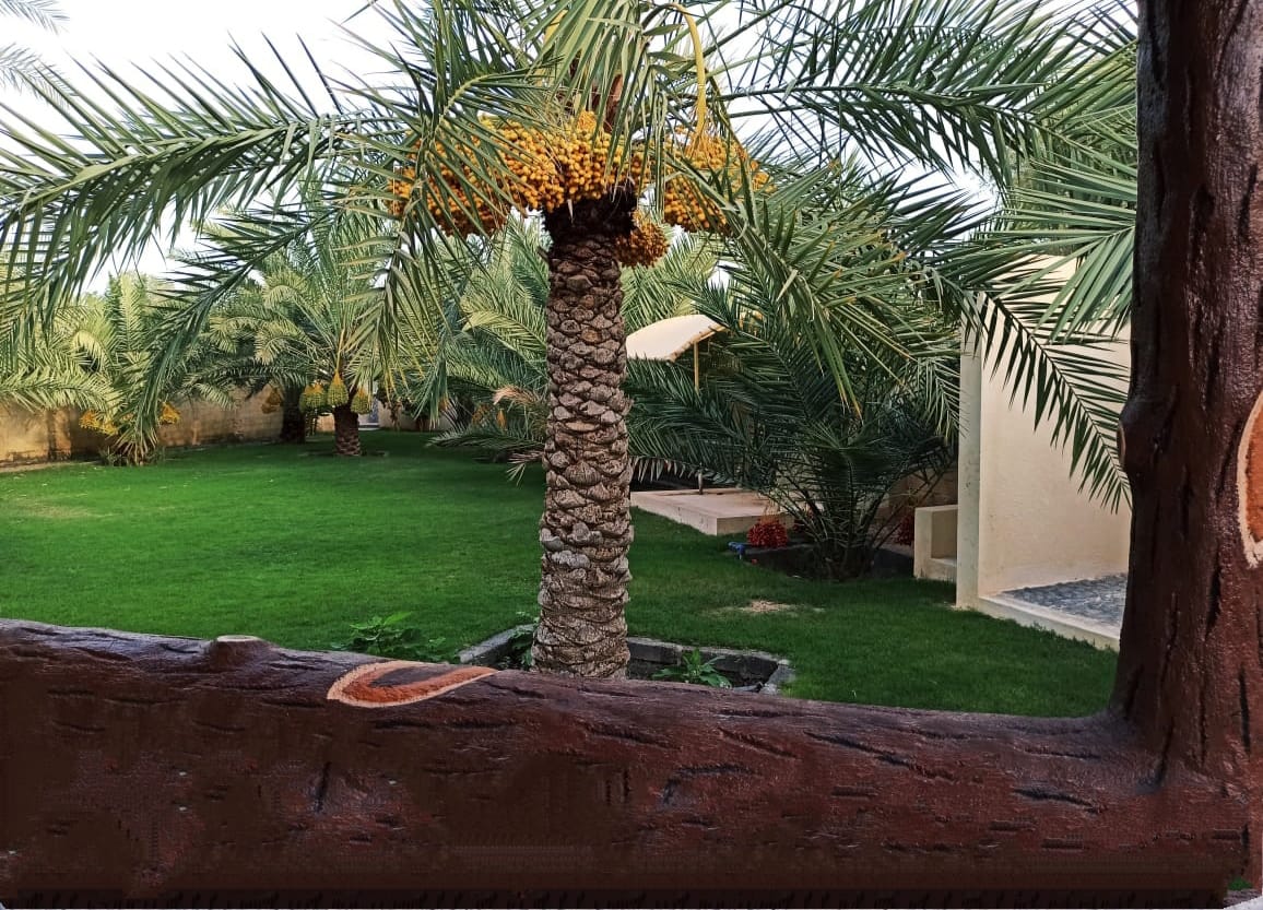 oasisbreakbahla's tweet photo. عرض خاص لشهر مايو.
احجز يومك المفضل فقط ب 30 ريال من الاحد الى الاربعاء واستمتع في أجواء الطبيعة في استراحة الواحة للاستجمام العائلي بولاية #بهلا.
للاستفسار 95500600

#أخبار_بهلا
#صباح_الخير
#يوم_Iلجمعه
#جمعه_مباركه https://t.co/1jv3JQ8rUd