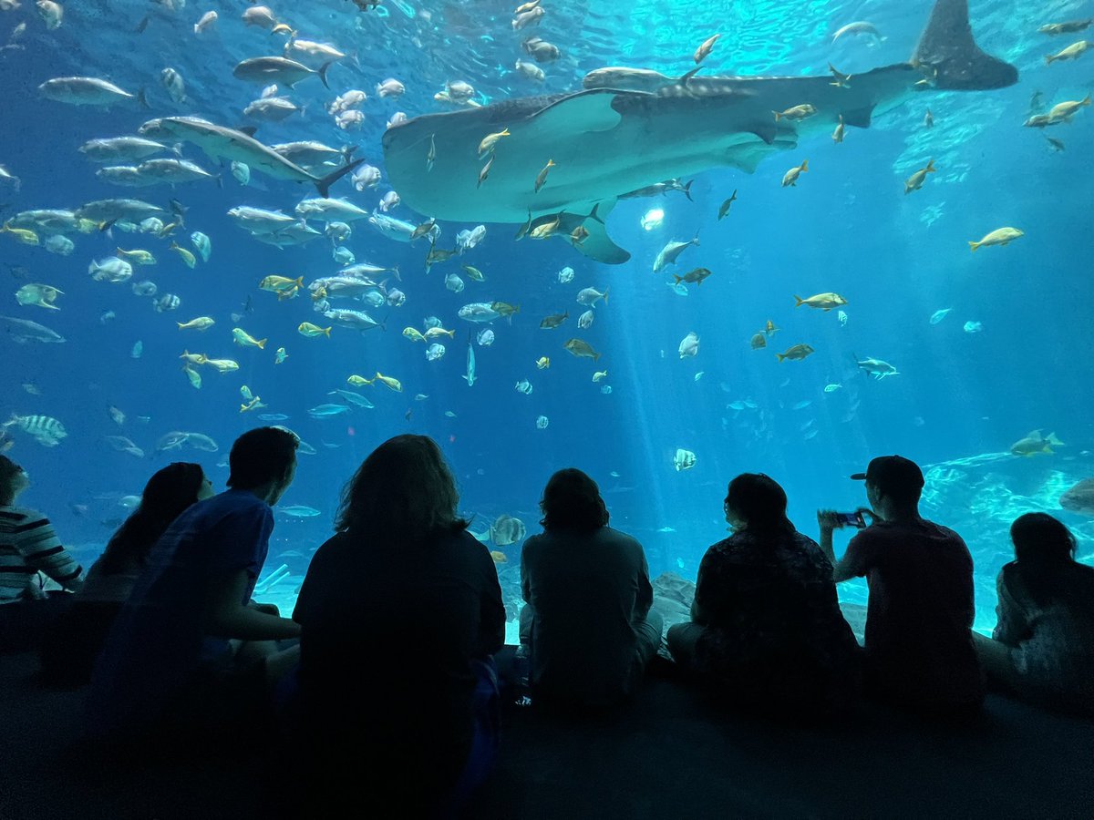 Sightseeing day in Atlanta, we visited the Georgia Aquarium!