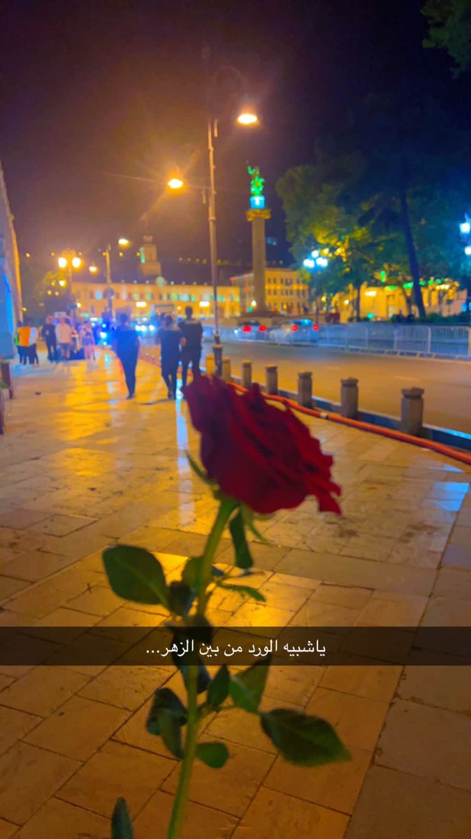 FAYAL_2020's tweet photo. https://t.co/uDmZ9Oe75b
