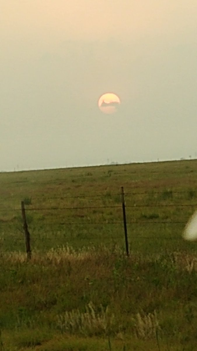 New town every hour on Twitter "Happy, Texas Population 668 Photos