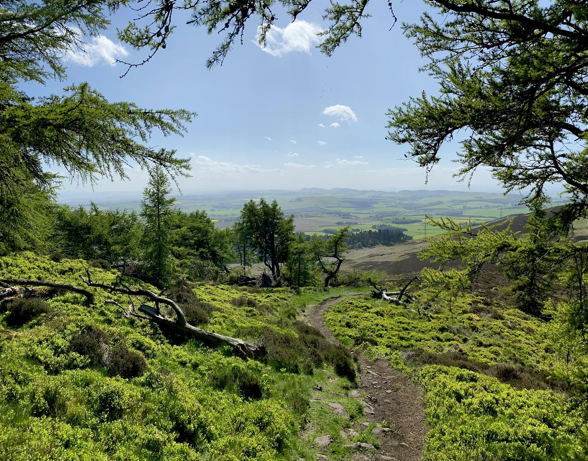 The Sidlaws, the hills of home looking especially grand tonight.