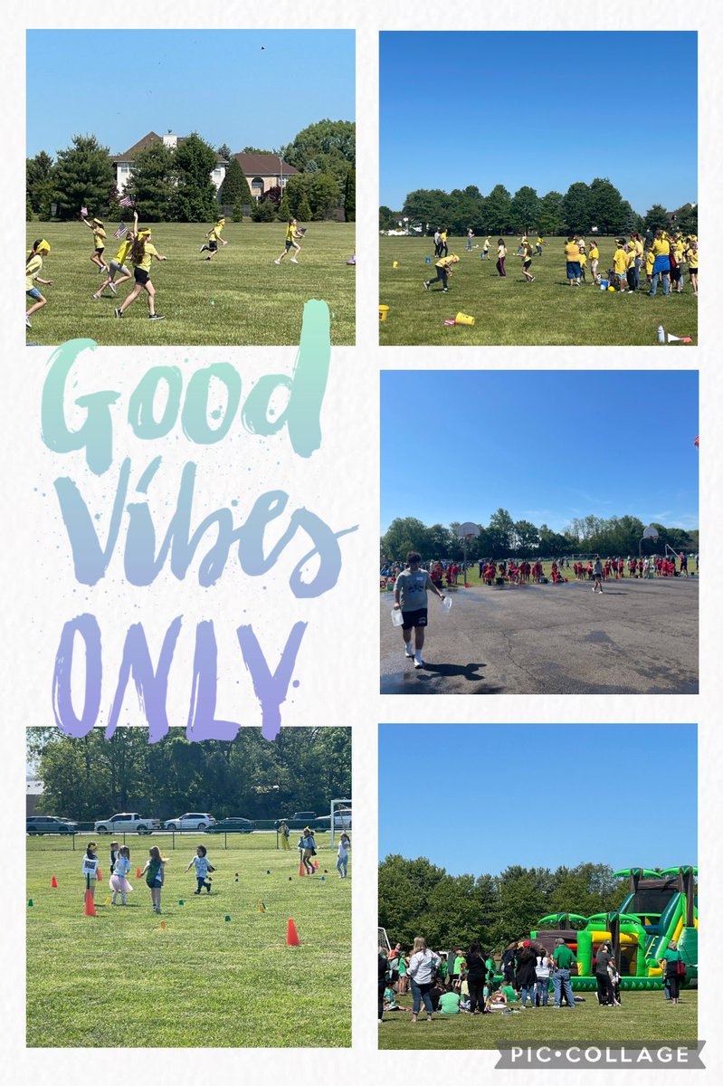 Laura Cecilione tweet media