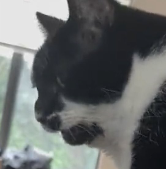 cheddar 🤍 esther tweet media