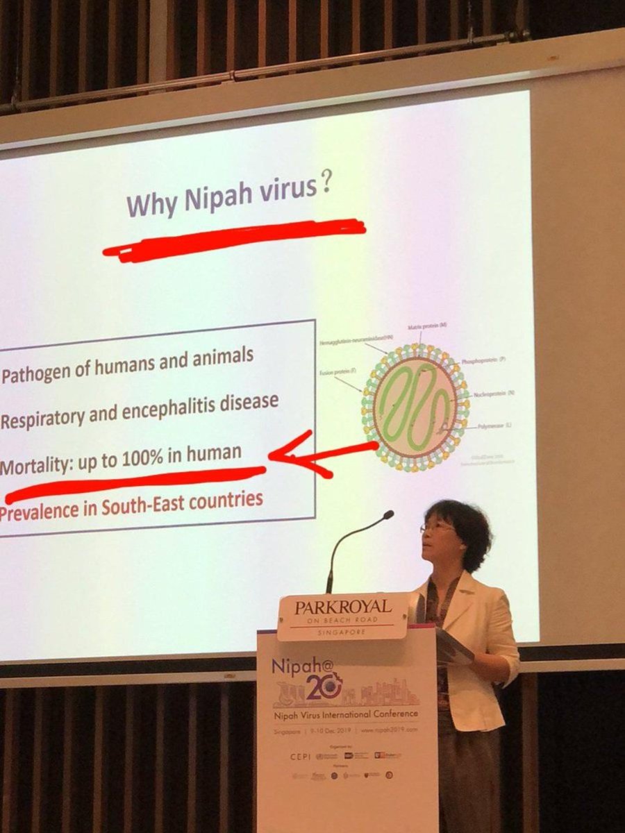 @EthicalSkeptic Incorrect.  This is the Wuhan (WIV) bat lady giving a presentation on Nipah.  I can provide more data in a bit.