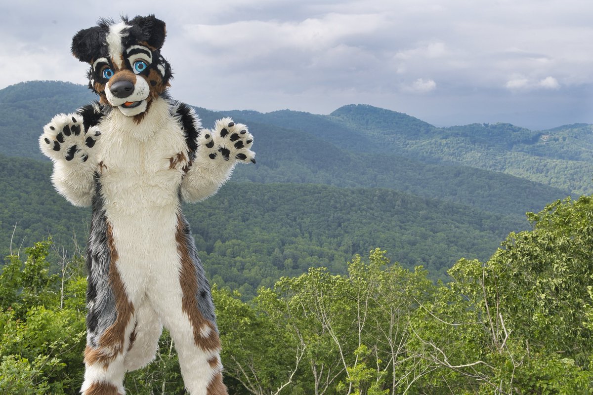 Come and escape with me to the mountains! 
Pic by @kealianwolf 
#FursuitFriday #fursuitanyday #fwa2023 #onefurall