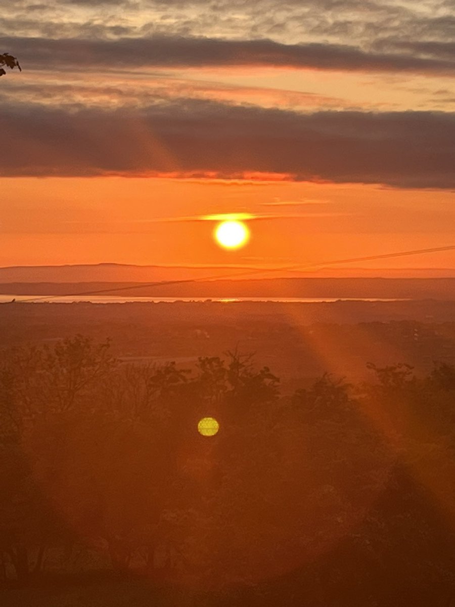 Maire Thompson tweet media