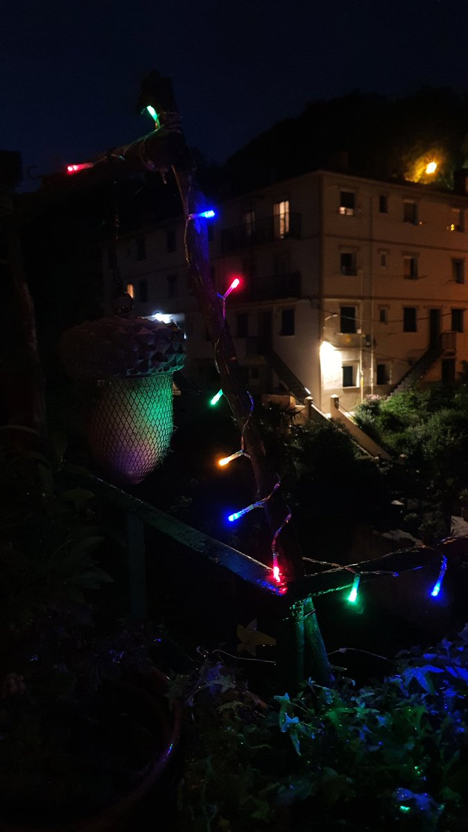 Ramón Quiles Bernabéu tweet media