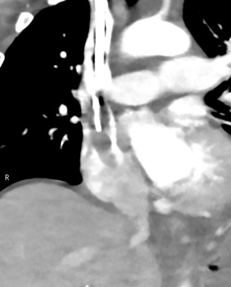 EinsteinVIR tweet media