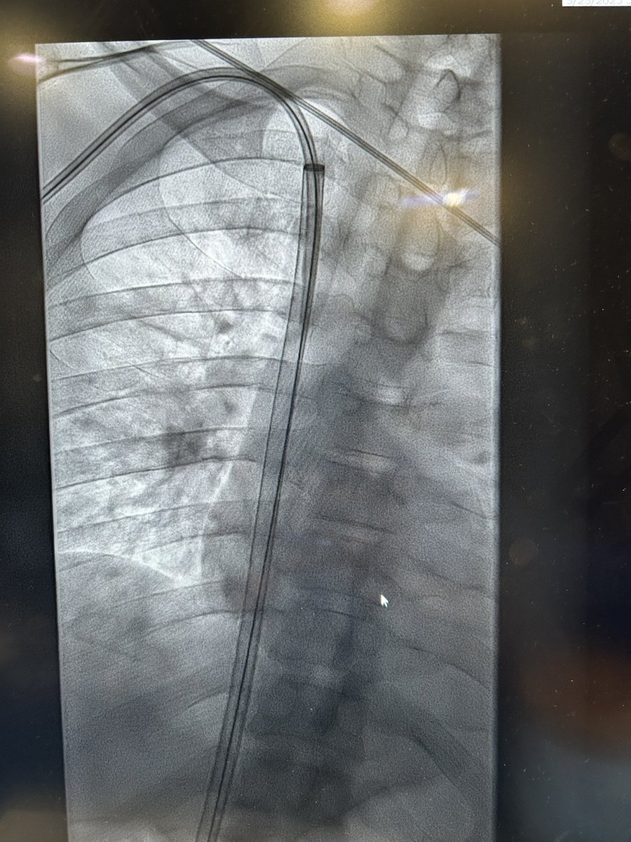 EinsteinVIR tweet media