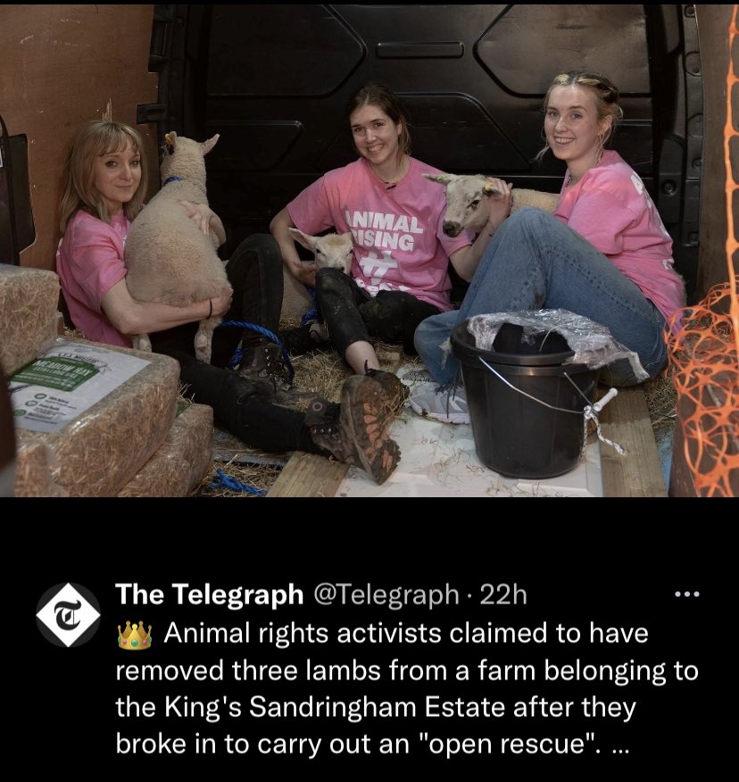 LorraineAllans1's tweet photo. The 3 lambs are still missing. Torn from their mothers &amp; her milk. Animal rights activists cruelly removed the lambs from their mothers. If you see these lambs please phone the police. We need to #FreeTheThree Please spread the word &amp; let’s get the lambs back home. #ProsecuteThe3 https://t.co/wDQSK6bJMX