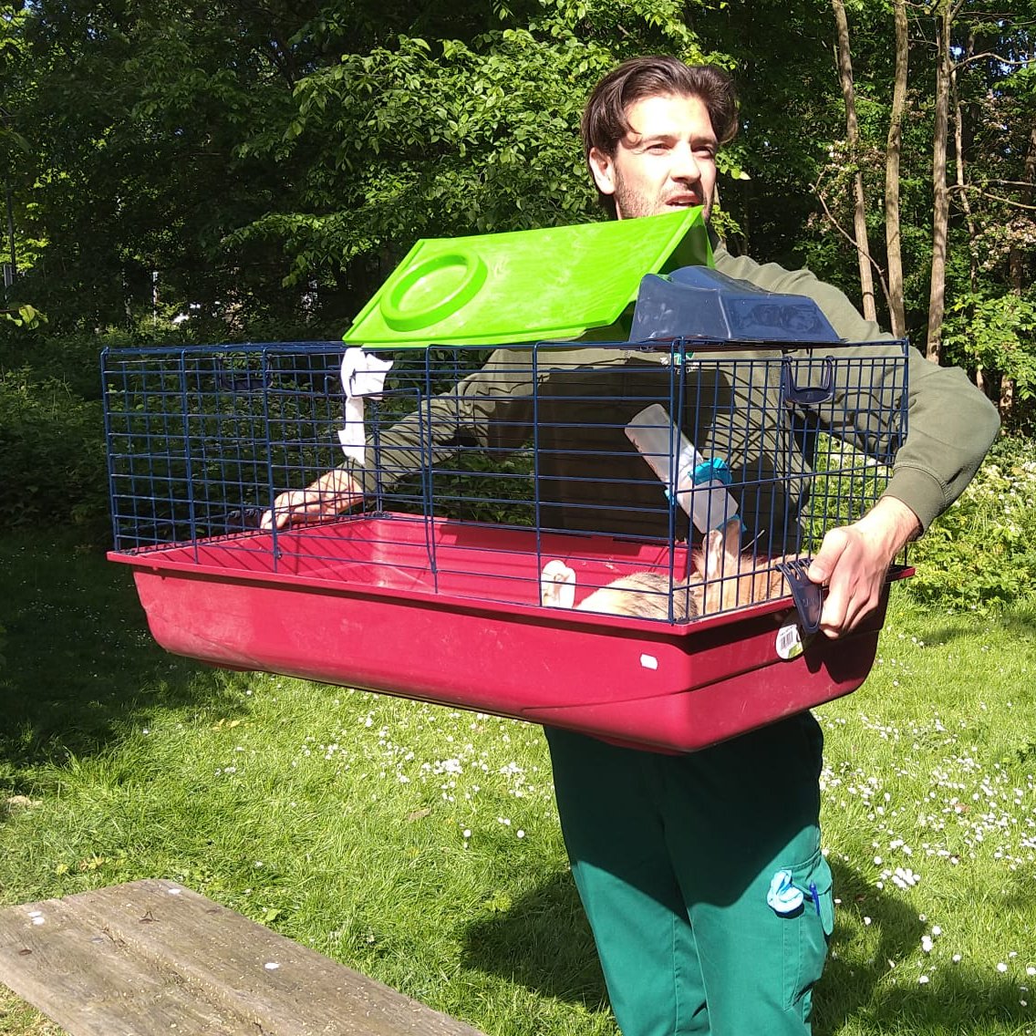 Dierenambulance Amsterdam tweet media