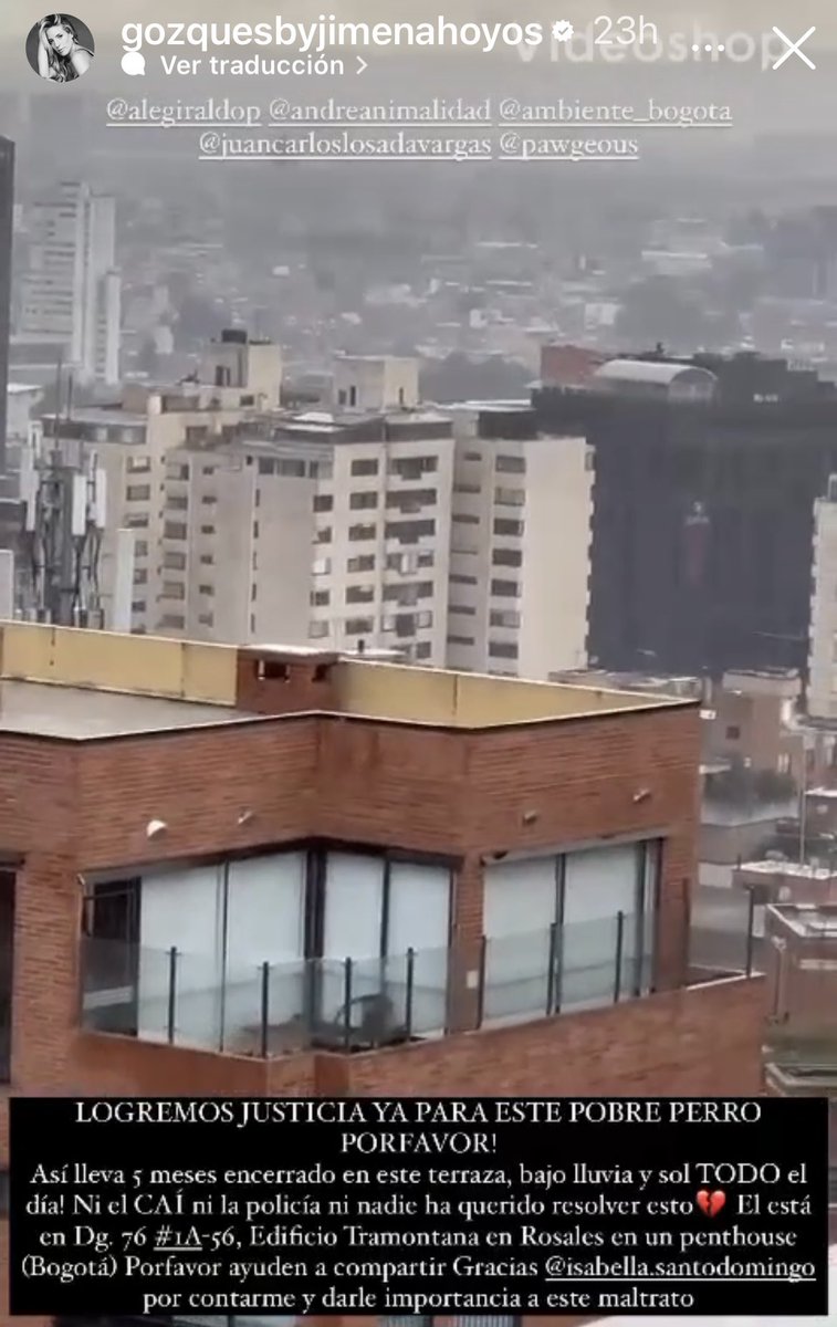 MAndreaNieto's tweet photo. Ayúdenme a compartir esta infamia!! Por favor @Bogota este perrito lleva en esa terraza 5 meses al sol y al agua!! Auxilioooo @AsociacionMi @FiscaliaCol @PoliciaBogota @AnimalesBOG @anima_fauna @Col_Animales https://t.co/w7tMclgZje