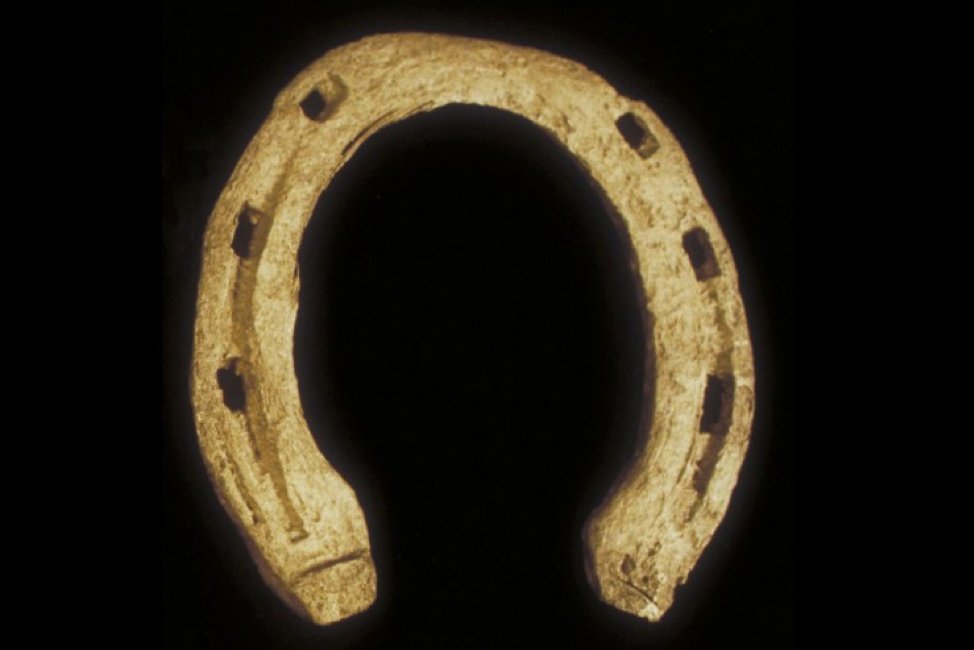 Horses were important animals at Monticello, and Jefferson’s horses had some very interesting names! Which name below did NOT belong to a Monticello horse? (picture is of a horseshoe found along Mulberry Row)

a) Caractacus
b) Polly Peachum
c) Storm
d) Crab
