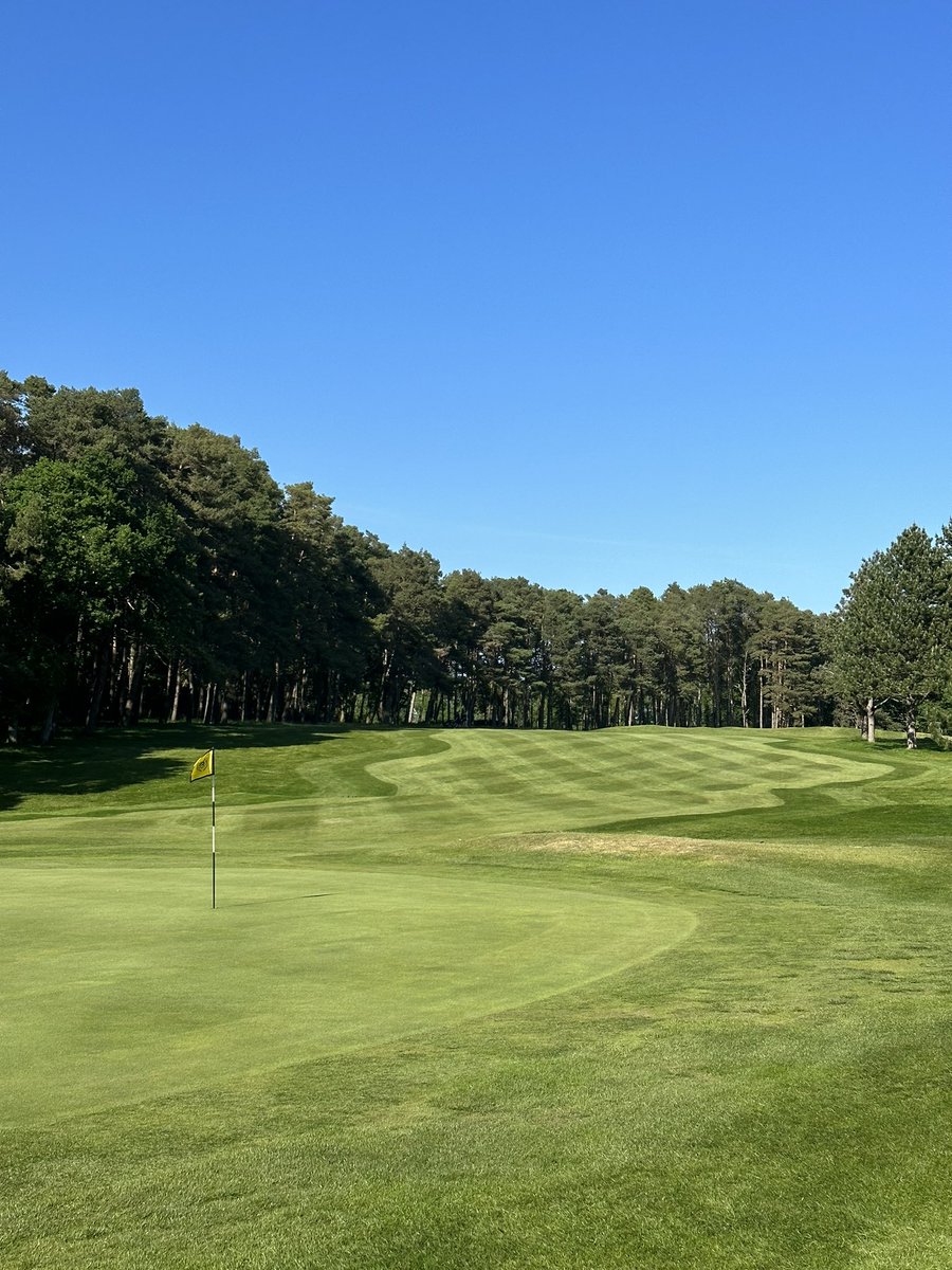 Brokenhurst Golf Pro Shop tweet media