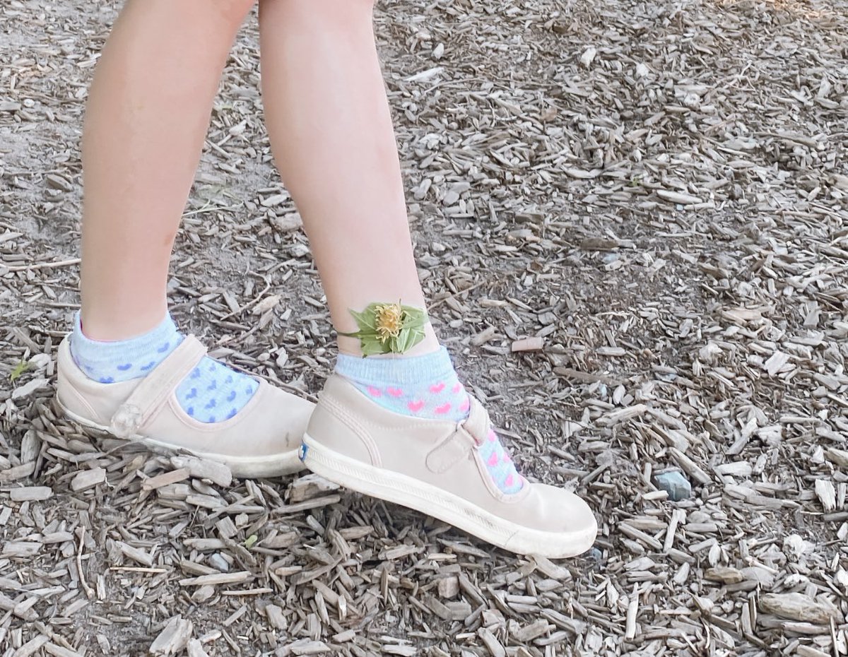 ECEChristine's tweet photo. “This is a good bandage for the environment because it can disintegrate” said V. 🌎

I am so happy to hear the children feeling connected to nature and being creative on how one can use natural materials for many different reasons. 🌿 https://t.co/UIoNDrLBZw