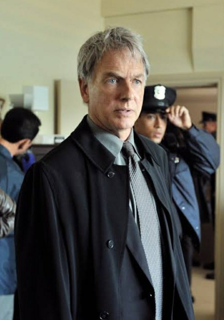 Hello my fans I'm back to the NCIS