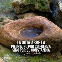 AnforaEditorial's tweet photo. Quien persevera triunfa. 😊 https://t.co/EHQIn1CcLy