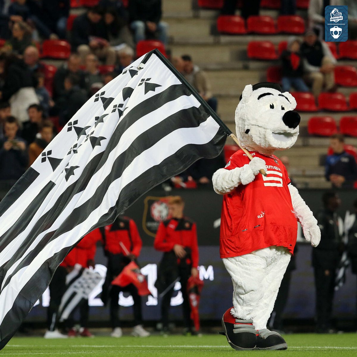 La Bretagne, quelle terre de foot incroyable ! 🤩

Rennes (L1)
Brest (L1) 
Lorient (L1) 
Guingamp (L2)
Concarneau (L2)