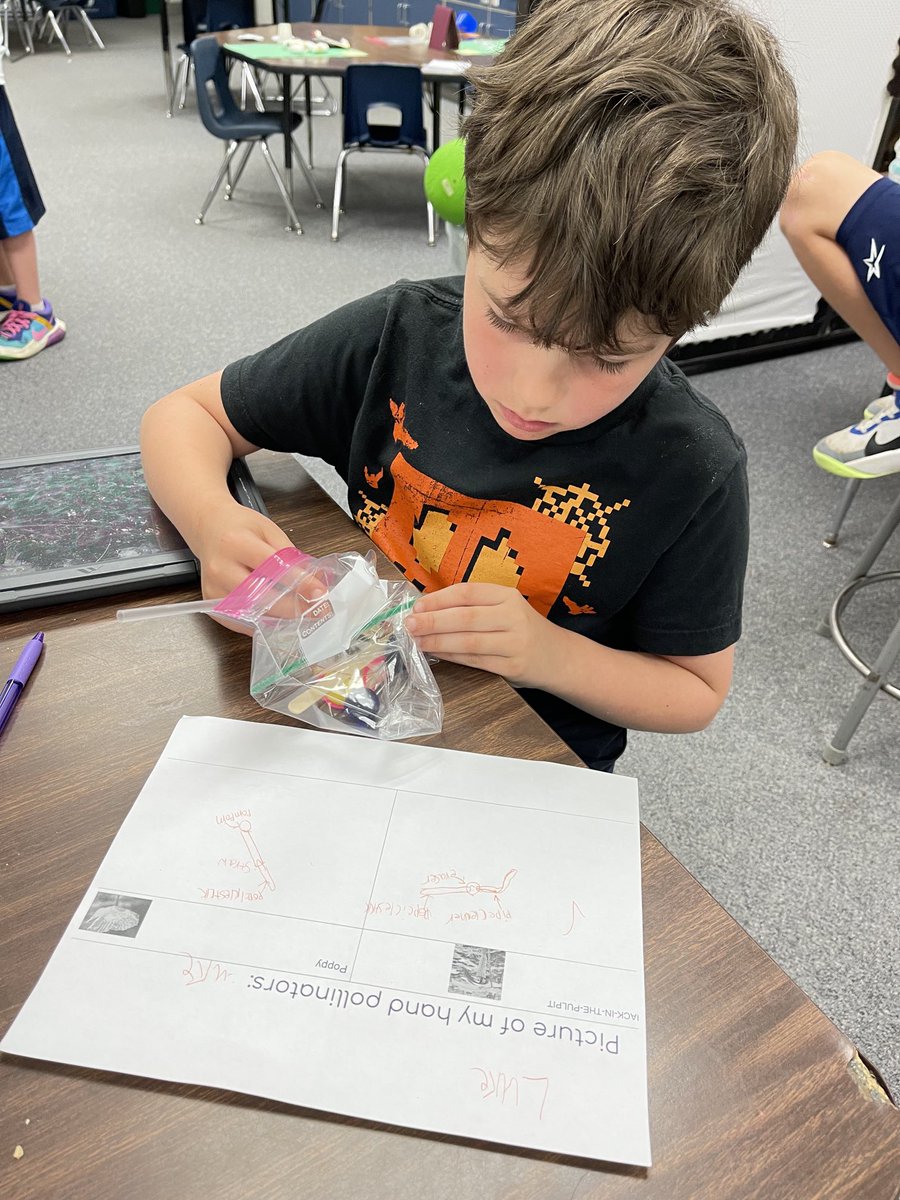 Angela Blessington tweet media