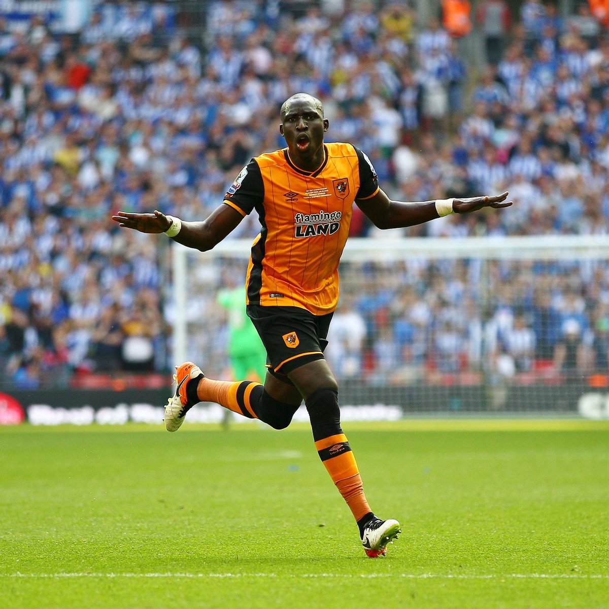 HullCity's tweet image. This caught our eye... 😉

#hcafc