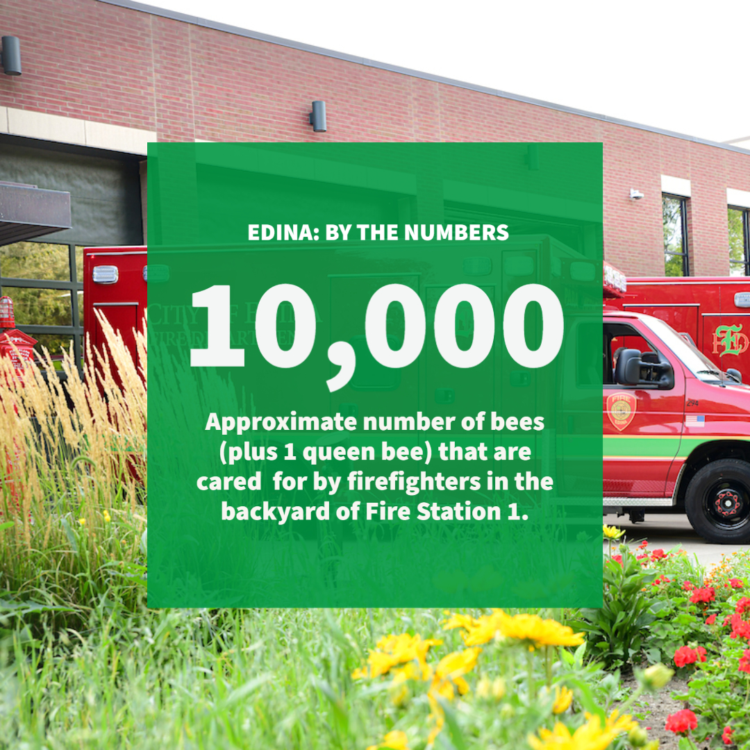 EdinaMN's tweet image. EMS Week is coming to an end but our appreciation for Edina Fire continues! The department serves the community by protecting lives, property and the environment. Thank you, Paramedic/Firefighters, for all do for our community!