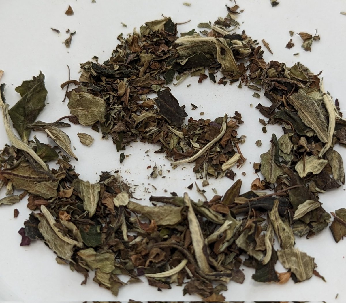ThesaurusTea's tweet photo. I Want Tea Believe is a love letter to all beings out of this world. This collection features aliens from all sorts of places. Check it out here: https://t.co/mgzfstv97R https://t.co/V9rdBbJYDu