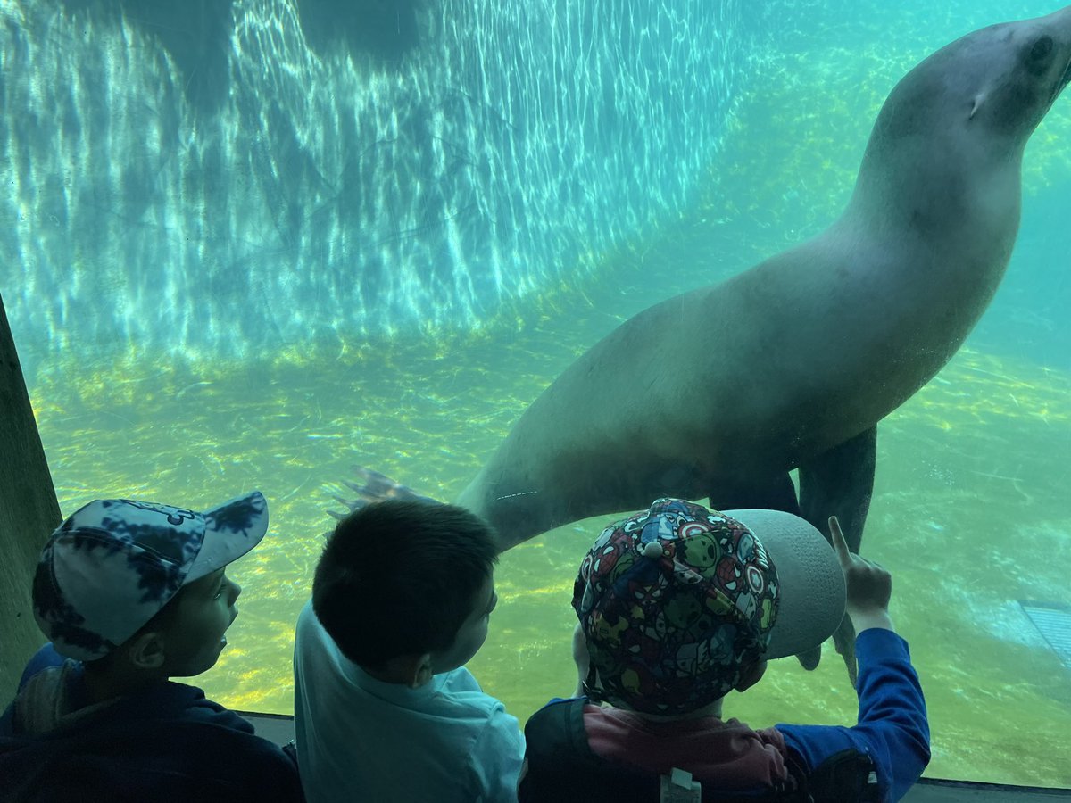 Pietryla's Place tweet media