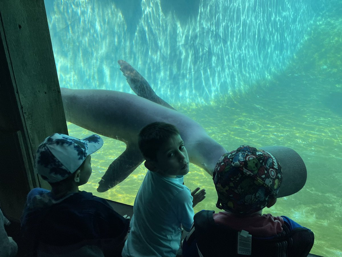 Pietryla's Place tweet media