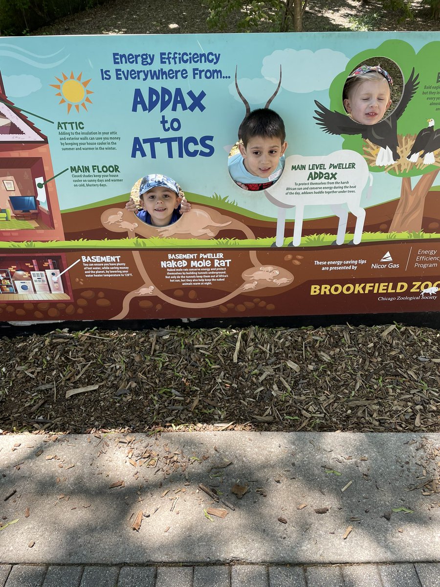 Pietryla's Place tweet media