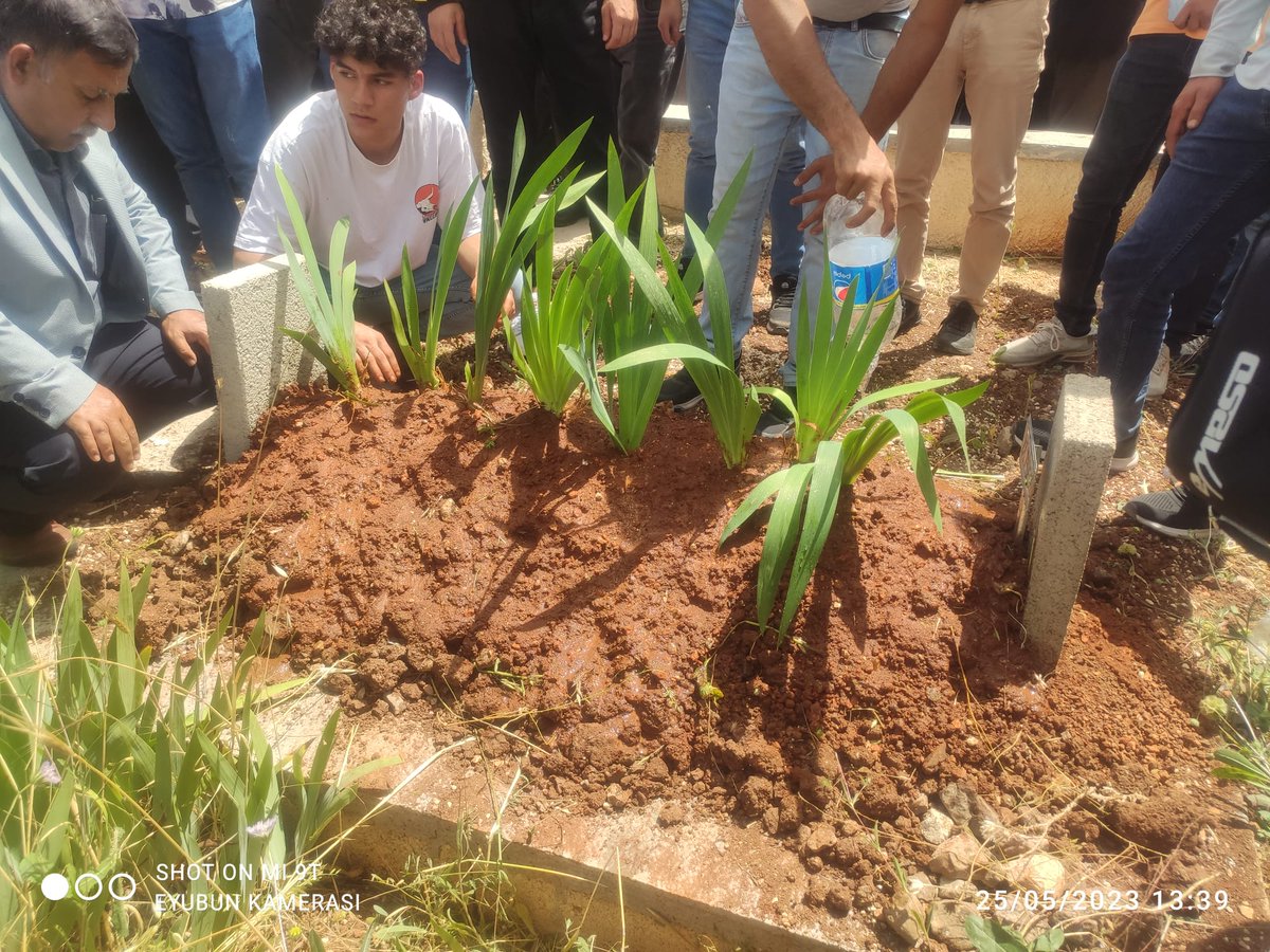 Ana başa taç imiş. Her derde ilaç imiş. Bir evlat pir de olsa, Anaya muhtaç imiş. Sevgili Annem Rahmeti Rahmâna vasıl oldu. Tüm dost akraba ve kardeşlerimden dua istirham ediyorum. #Lütfen haklarınızı helal ediniz.