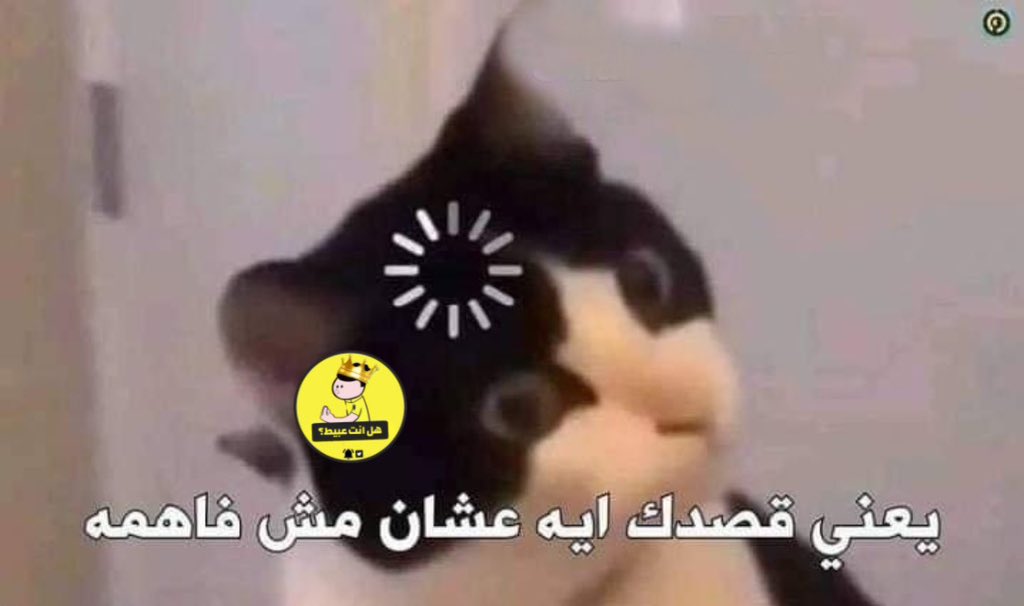 Egyptianmemees's tweet image. الناس كلها بتفهمها وهي طايرة ..

انا بعد تلميح شهر :