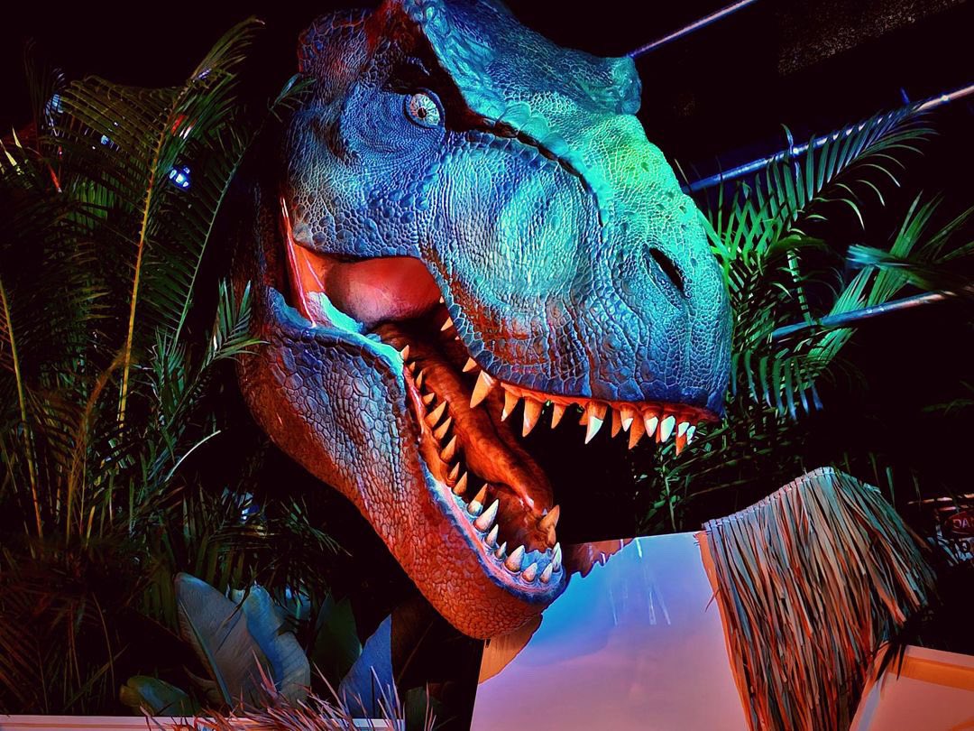 JurassicOutpost's tweet photo. Inside The #JurassicPark30thAnniversary Tribute Store – Movie Props and More on Display at @UniversalORL! 🦖🦕

https://t.co/7TLH192PRz https://t.co/jpkH58QNrf