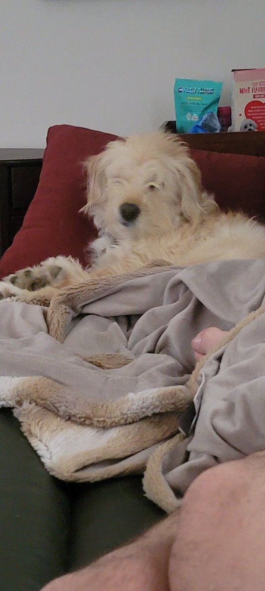 J S Gilbert tweet media