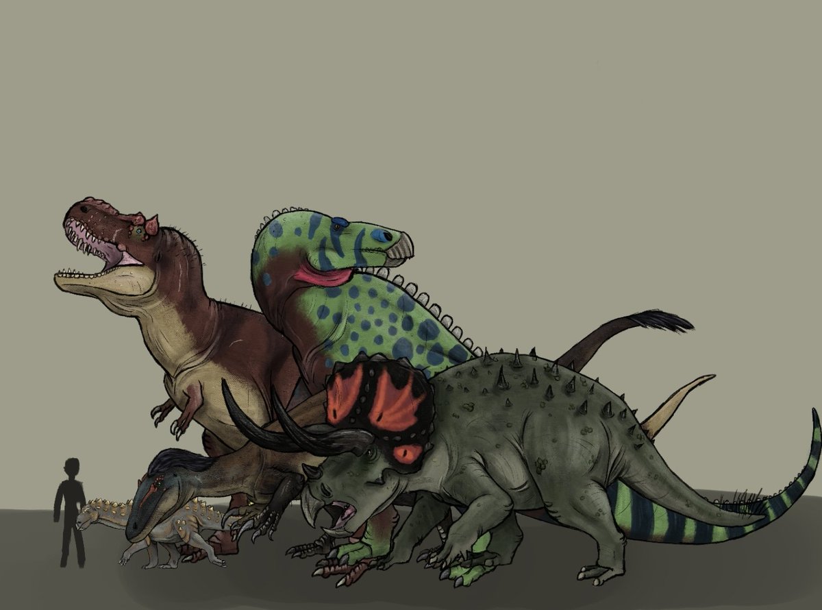 Berlography's tweet image. As a bonus, have this #sizechart !

Gotta say, season 2 of php really did deliver, it was amazing!

#trex #tyrannosaurus #triceratops #edmontosaurus #maip #stegouros #art #artistontwittter #PrehistoricPlanet