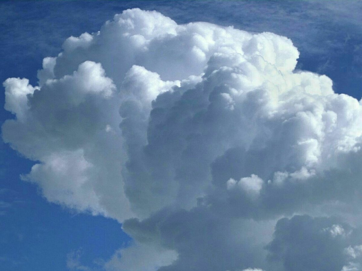 #Clouds may look light, but a typical cumulus cloud contains approximately 551 tons of water.

 A weight equal to one hundred elephants and 551 cars!
Never judge by the cover 😉
Never underestimate her😎

 #NatureBeauty 
#naturelovers 
#FactsMatter 
#educacion 
#self