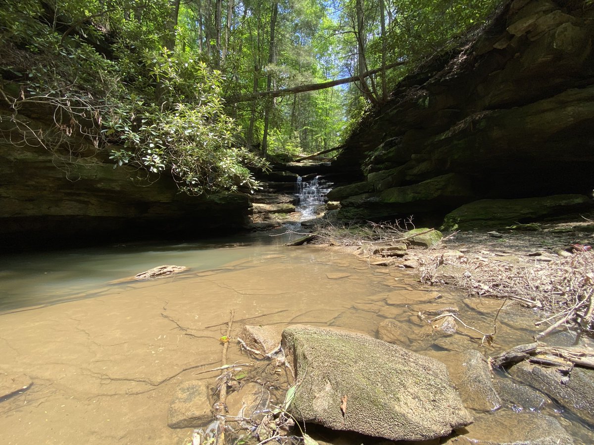 touched grass today:

what a beautiful part of Kentucky