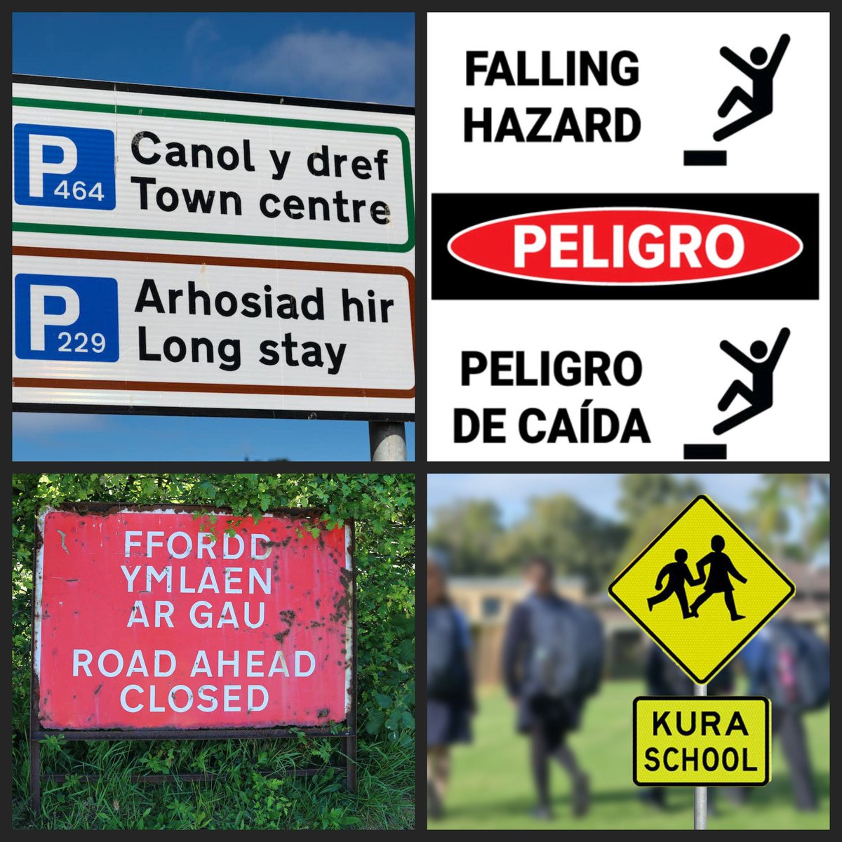 How easily confused ARE right-whinge supporters, who can't navigate around bilingual signs? How on Earth, do they function overseas with international bilingualism in signage? We must have the most unintelligent compatriots who see English AND Te reo, then fall apart. Seriously.