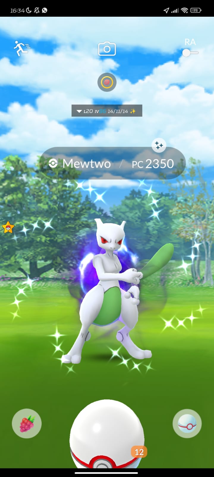 Pokémon GO on X: Shadow Mewtwo returns to Pokémon GO in #ShadowRaids! Face  the challenge, and, if you're lucky, you might even encounter a Shiny  Shadow Mewtwo! ✨  / X