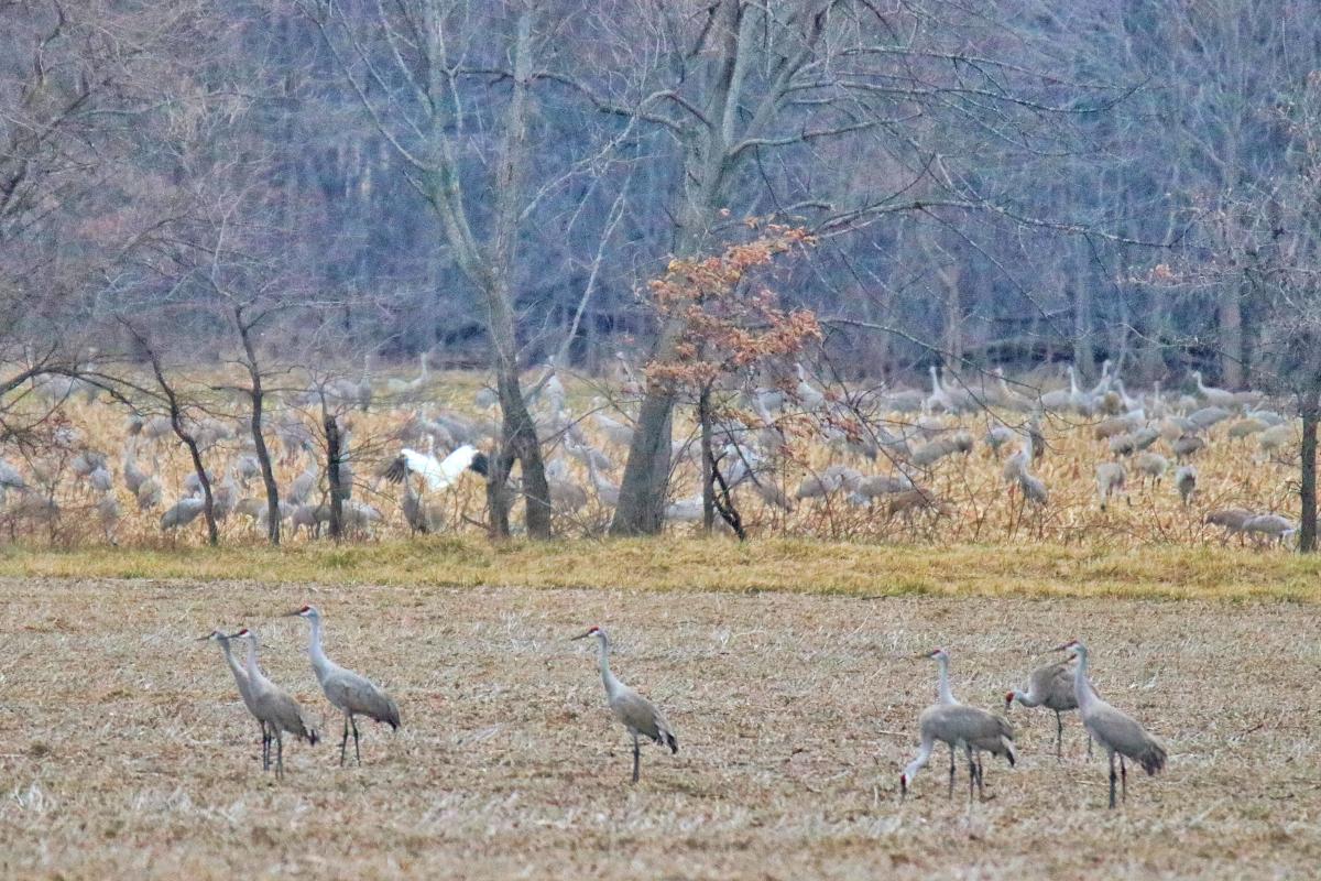 O'Neill professors Todd Royer and Christopher Craft weigh in on yesterday's U.S. Supreme Court ruling that removed protections for wetlands. Read the @WFIUNews report: bit.ly/3MBueGX