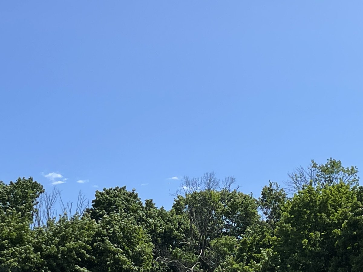 DavidGusitsch's tweet photo. What makes a beautiful Friday afternoon better at @SaxeMS? A rocket launch! Very cool… 🚀 
#SaxeSTEM https://t.co/5wUOiSW4Ld
