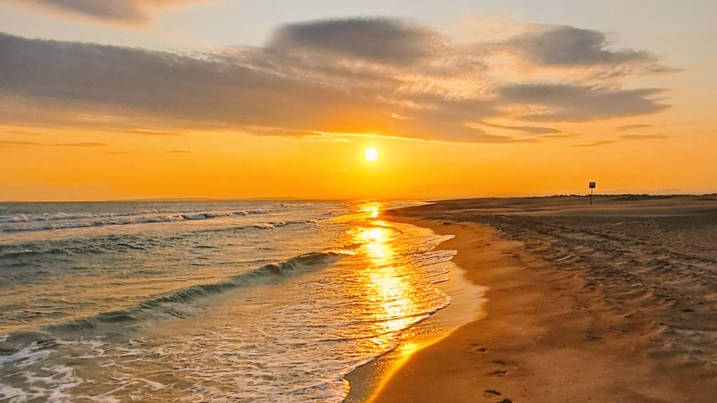 Un magnifique sunset à l'espiguette.Bon week end !

#camargue #gard #gardtourisme #beachlover #occitanie #legrauduroi #legrauduroiportcamargue #camarguesauvage #exploretheworld #grandsitedefrance #beachphotography #mediterraneansea #naturelovers #naturephotography
