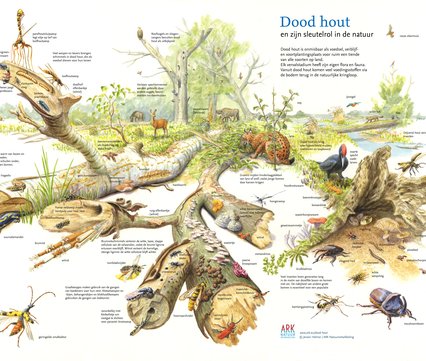 Klimaatzuster's tweet photo. @WvNoort Zie ook de 7 gebieden van @ARKNatuur!
https://t.co/EMdBRQ84GB #letsrewild https://t.co/PKdjnzihNG