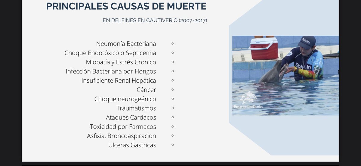 Empty the Tanks México tweet media