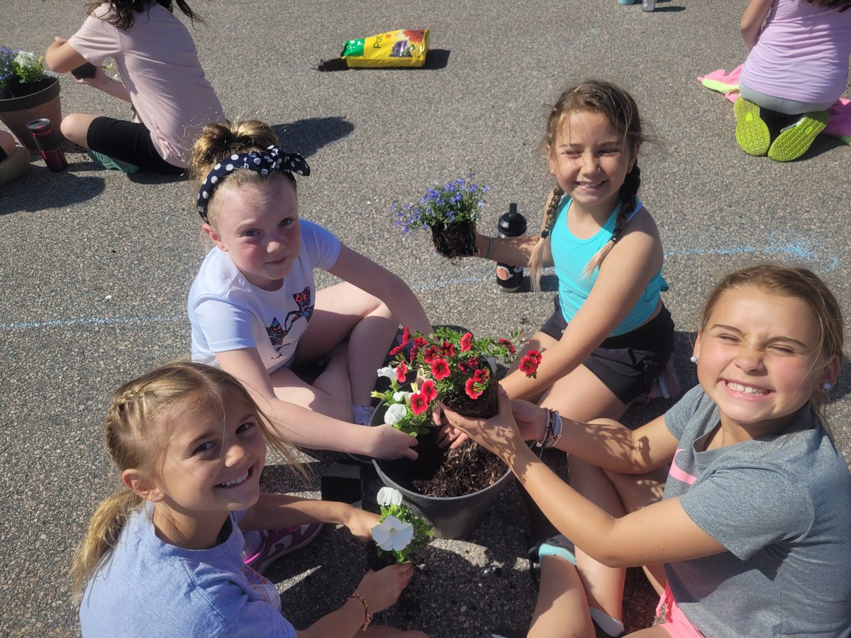 Amanda Gallerani tweet media