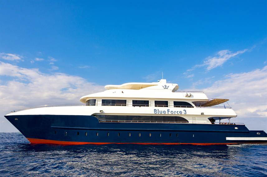 DivingRegister's tweet image. Maldives Blue Force 3: Maldives Blue Force 3 Liveaboard, Maldives Maldives Blue Force 3 is a 42 meter/138ft long liveaboard carrying up to 26 passengers in 12 cabins in the Maldives. There are 4 [...] 

The post Maldives Blue Force 3… Learn more.... dlvr.it/SphQXF