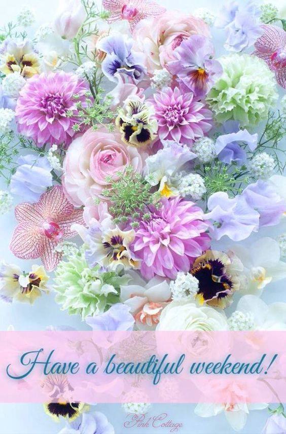Mirela507040031's tweet image. #BeautifulFlower 
#Beautifulweekend